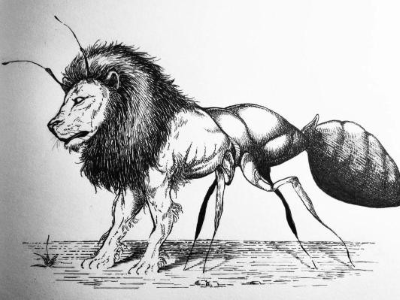 myrmecoleon