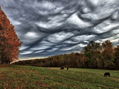 asperitas