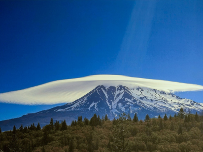 lenticular
